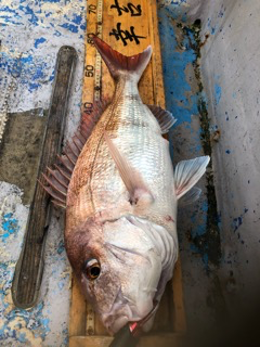 幸吉丸 釣果