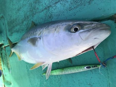 広進丸 釣果