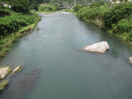 狩野川（狩野川漁業協同組合） 釣果