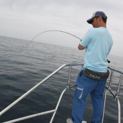 ＢｌｕｅＮｏｔｅ　Ｆｉｓｈｉｎｇ　Ｔａｘｉ 釣果