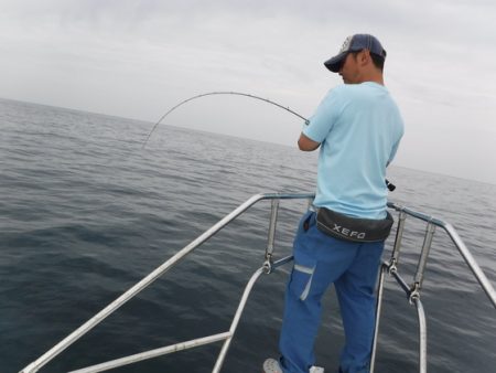 ＢｌｕｅＮｏｔｅ　Ｆｉｓｈｉｎｇ　Ｔａｘｉ 釣果