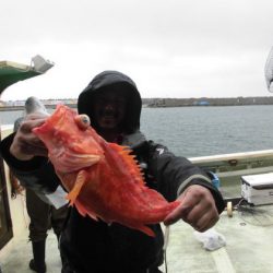 大進丸（新潟） 釣果