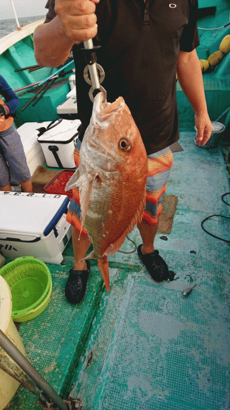 清和丸 釣果