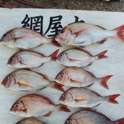 網屋丸 釣果