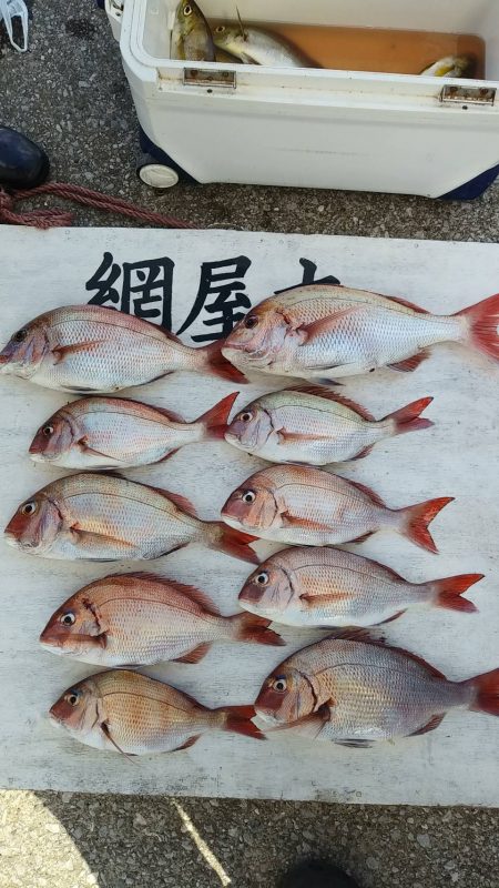 網屋丸 釣果