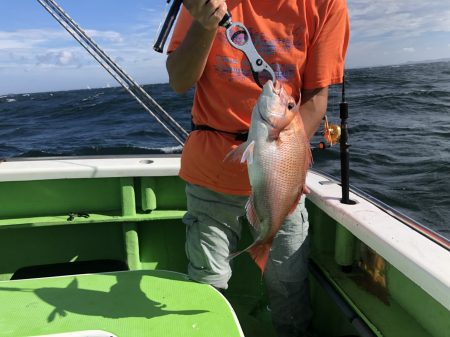 網屋丸 釣果