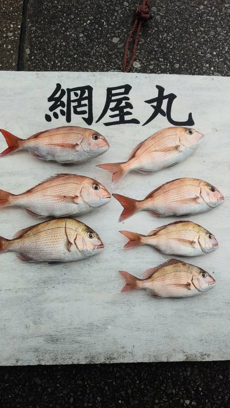 網屋丸 釣果