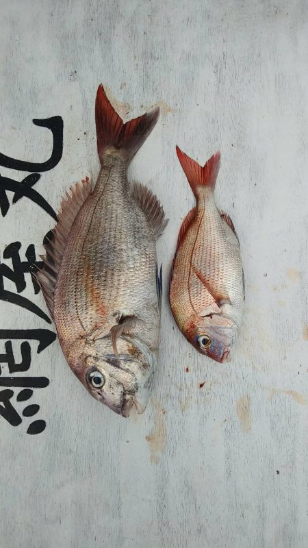 網屋丸 釣果