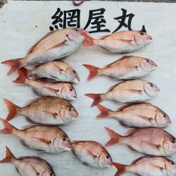 網屋丸 釣果