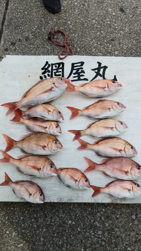 網屋丸 釣果