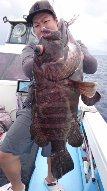 海晴丸 釣果