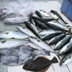 ふじしめ丸 釣果