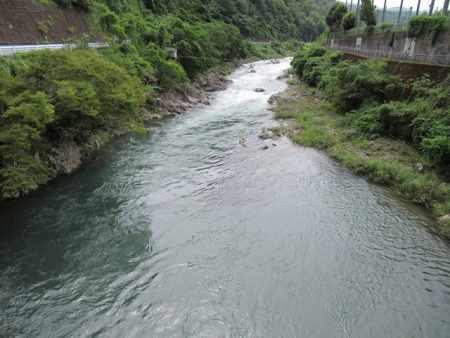 狩野川（狩野川漁業協同組合） 釣果