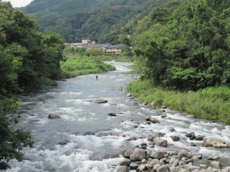 狩野川（狩野川漁業協同組合） 釣果