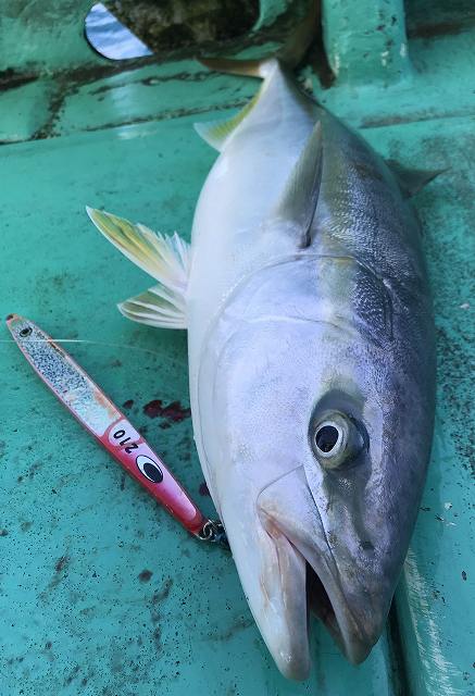 広進丸 釣果