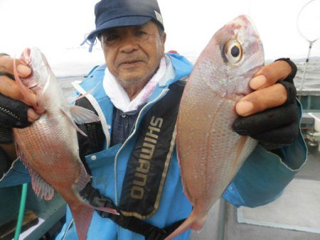 大進丸（愛知） 釣果