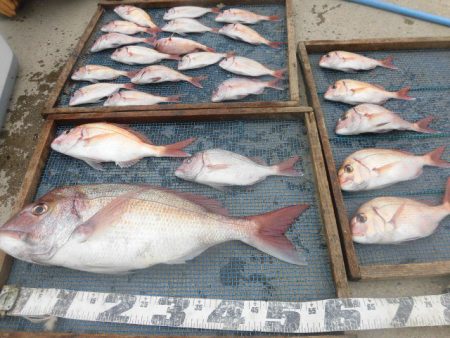 大進丸（愛知） 釣果