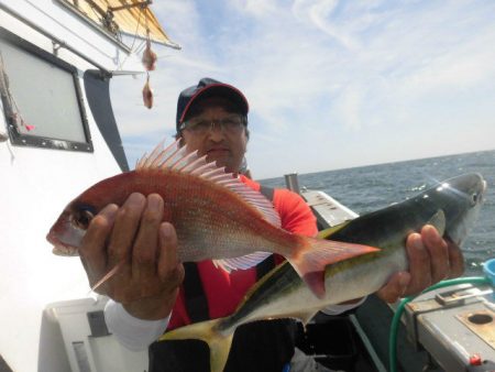 大進丸（愛知） 釣果