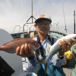 大進丸（愛知） 釣果