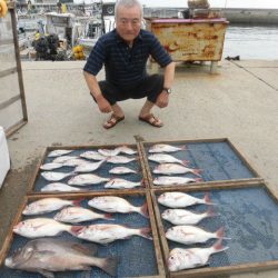 大進丸（愛知） 釣果