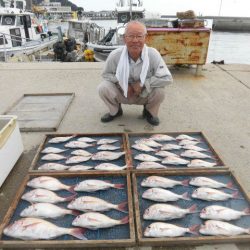 大進丸（愛知） 釣果