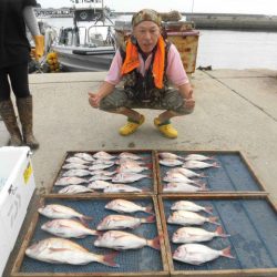 大進丸（愛知） 釣果