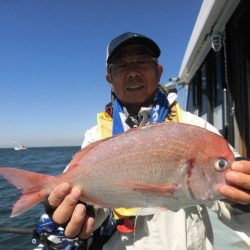 大進丸（愛知） 釣果