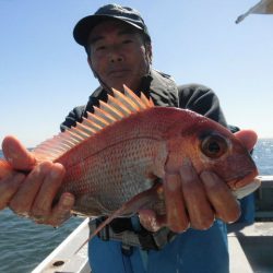 大進丸（愛知） 釣果