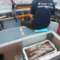 大進丸（愛知） 釣果