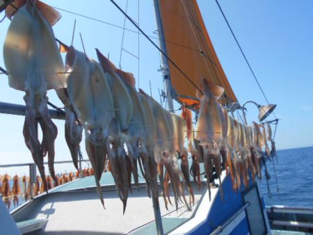 大進丸（愛知） 釣果