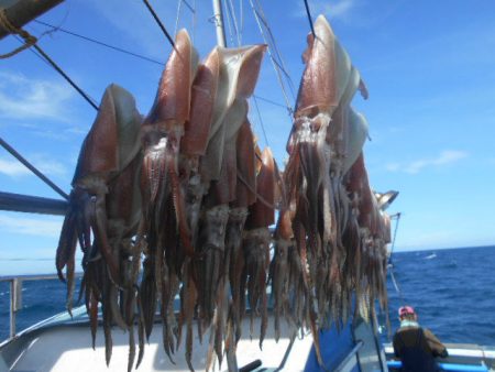 大進丸（愛知） 釣果