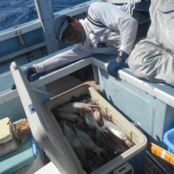 大進丸（愛知） 釣果