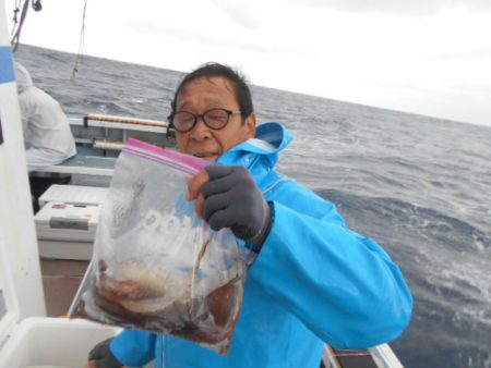 大進丸（愛知） 釣果