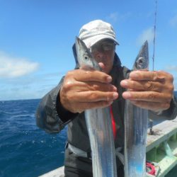 大進丸（愛知） 釣果