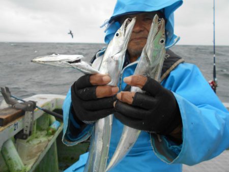 大進丸（愛知） 釣果