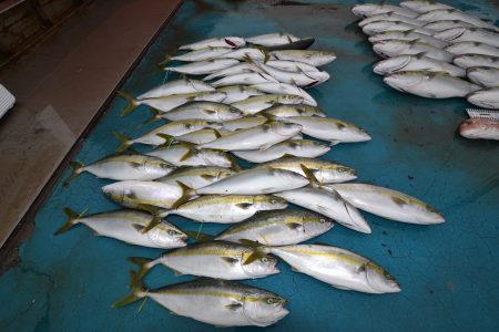 アジアマリンサービス 釣果