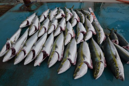 アジアマリンサービス 釣果