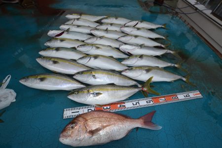 アジアマリンサービス 釣果