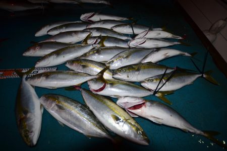 アジアマリンサービス 釣果