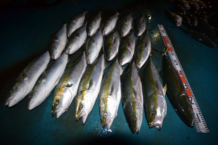 アジアマリンサービス 釣果