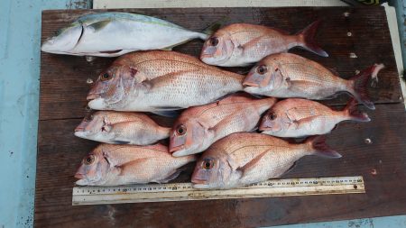 はらまる 釣果