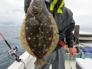 兼六丸 釣果