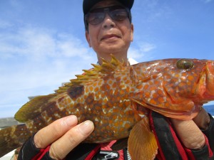 兼六丸 釣果