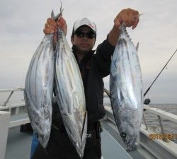 太郎丸 釣果