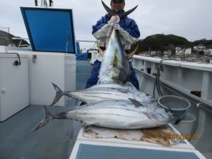 太郎丸 釣果