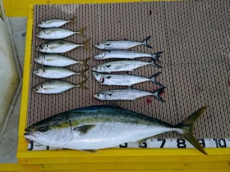 火遠理丸（ほおりまる） 釣果