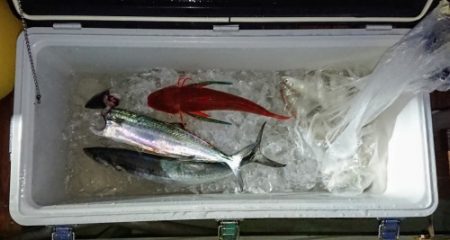 火遠理丸（ほおりまる） 釣果