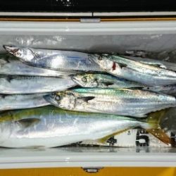 火遠理丸（ほおりまる） 釣果