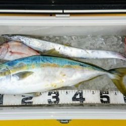 火遠理丸（ほおりまる） 釣果