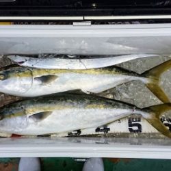 火遠理丸（ほおりまる） 釣果